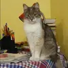 Отзыв от Яна Меркулова
